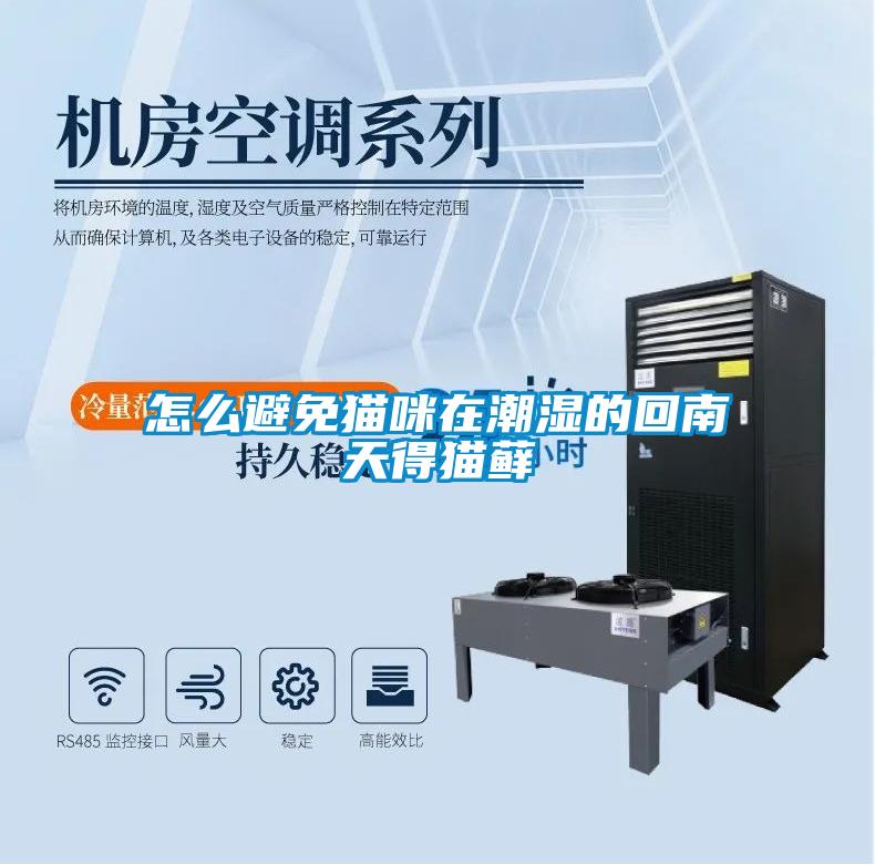 怎么避免貓咪在潮濕的回南天得貓蘚