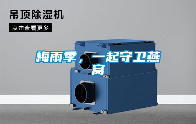 梅雨季，一起守衛燕窩