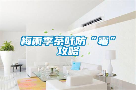 梅雨季茶葉防“霉”攻略