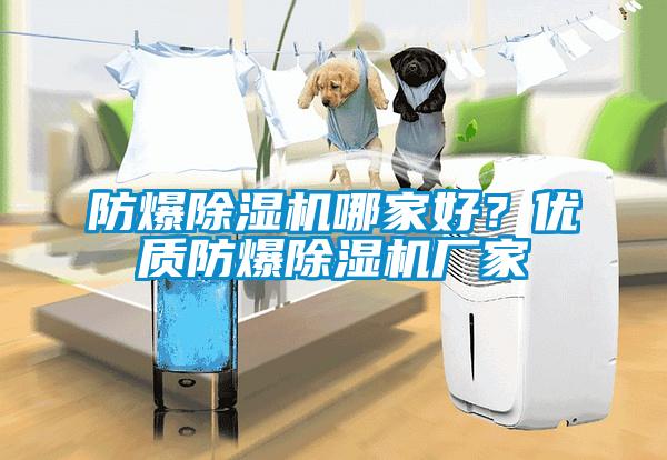 防爆除濕機哪家好？優(yōu)質(zhì)防爆除濕機廠家