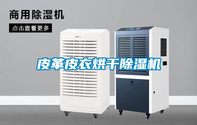 皮革皮衣烘干除濕機(jī)