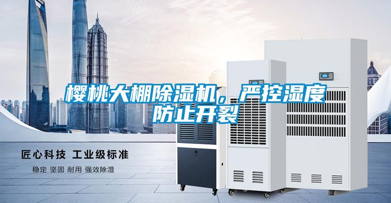 櫻桃大棚除濕機，嚴控濕度防止開裂