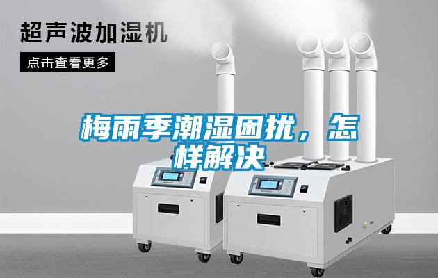梅雨季潮濕困擾，怎樣解決