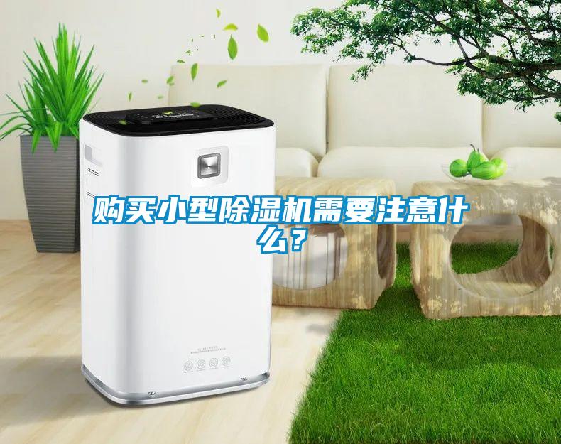 購(gòu)買小型除濕機(jī)需要注意什么？
