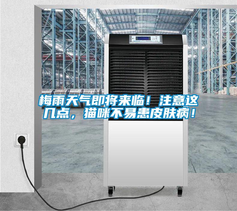 梅雨天氣即將來臨！注意這幾點，貓咪不易患皮膚?。?/></p>
						    <p style=