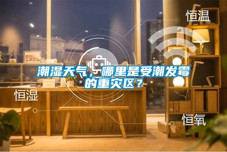 潮濕天氣，哪里是受潮發霉的重災區？