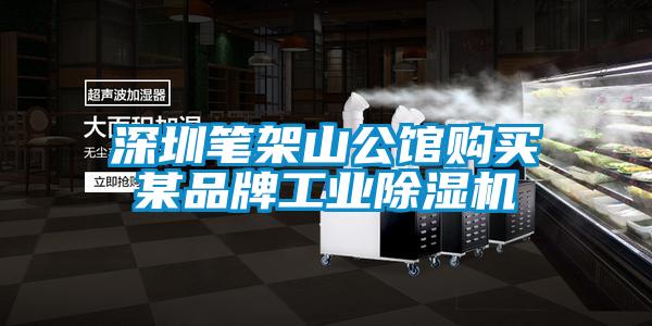 深圳筆架山公館購買某品牌工業(yè)除濕機(jī)