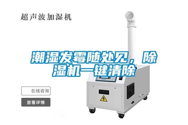 潮濕發(fā)霉隨處見，除濕機一鍵清除