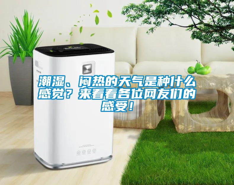 潮濕、悶熱的天氣是種什么感覺？來看看各位網友們的感受！