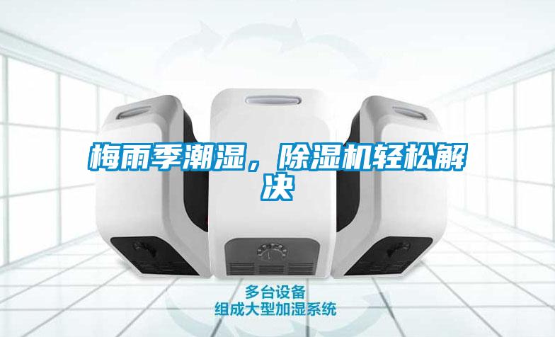 梅雨季潮濕，除濕機輕松解決