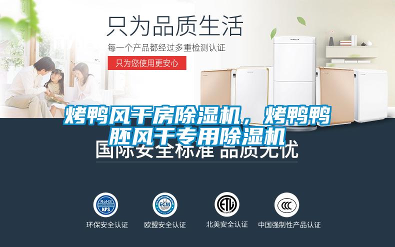 烤鴨風(fēng)干房除濕機(jī)，烤鴨鴨胚風(fēng)干專用除濕機(jī)