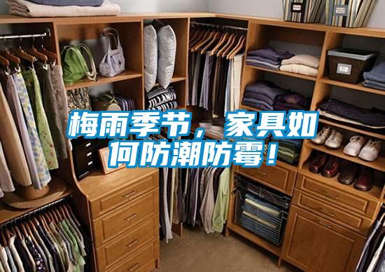 梅雨季節，家具如何防潮防霉！