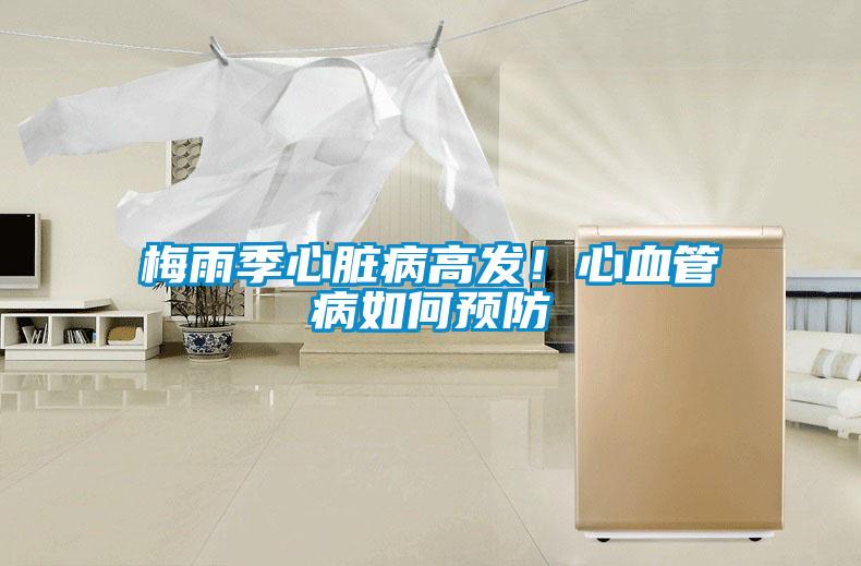梅雨季心臟病高發(fā)！心血管病如何預(yù)防