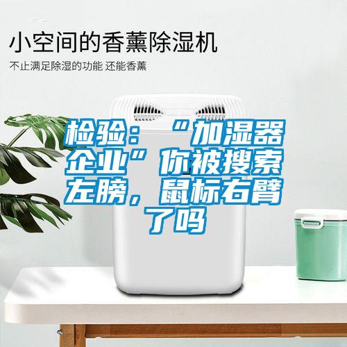 檢驗：“加濕器企業(yè)”你被搜索左膀，鼠標(biāo)右臂了嗎
