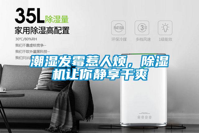 潮濕發霉惹人煩，除濕機讓你靜享干爽