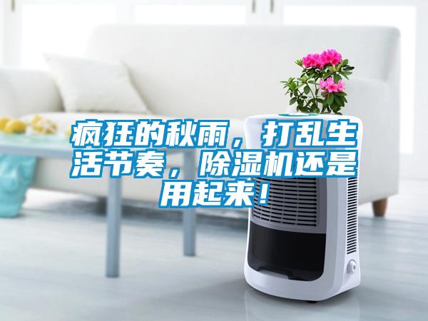 瘋狂的秋雨，打亂生活節(jié)奏，除濕機還是用起來！