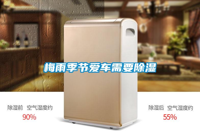 梅雨季節(jié)愛(ài)車需要除濕