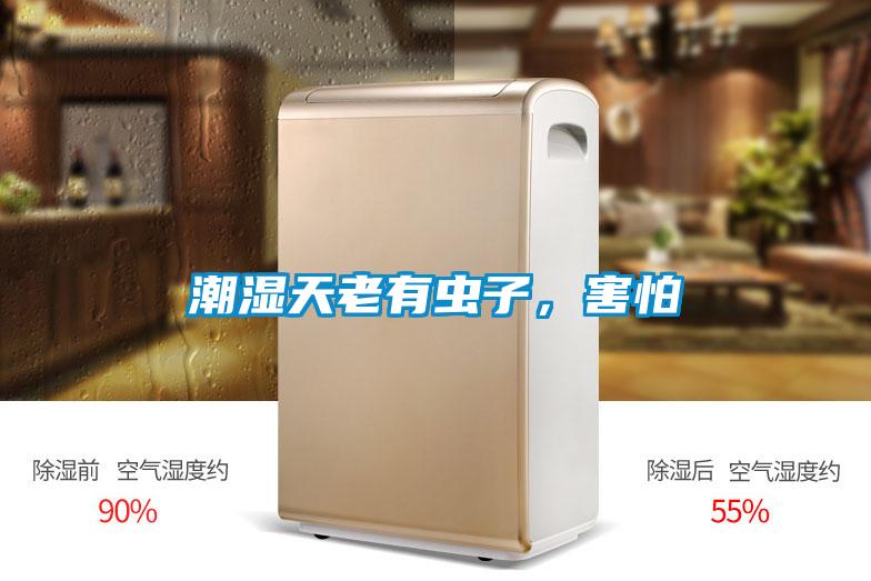 潮濕天老有蟲子，害怕