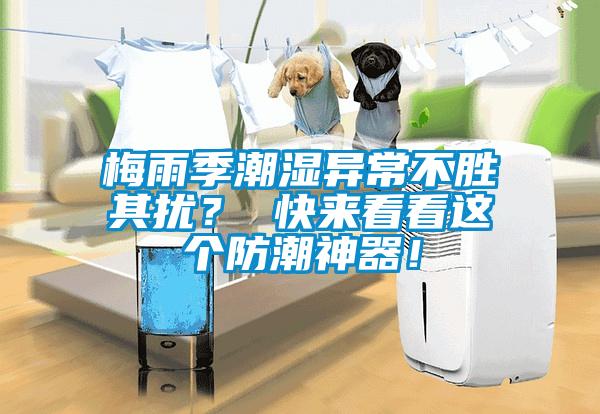 梅雨季潮濕異常不勝其擾？ 快來看看這個防潮神器！