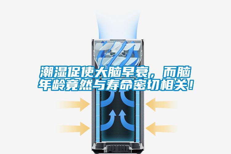 潮濕促使大腦早衰，而腦年齡竟然與壽命密切相關！