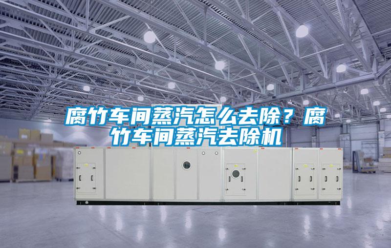 腐竹車間蒸汽怎么去除？腐竹車間蒸汽去除機(jī)