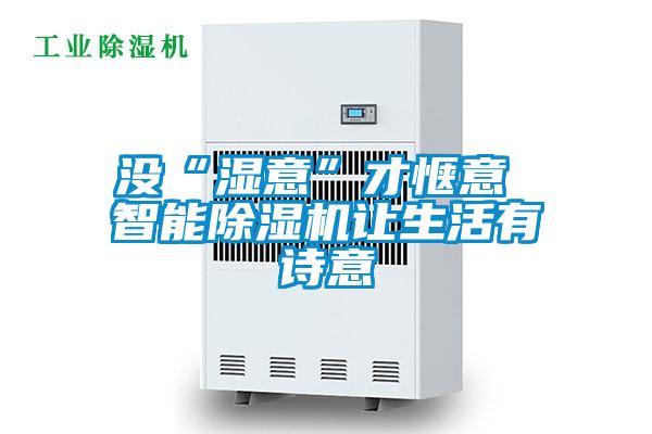 沒“濕意”才愜意 智能除濕機讓生活有詩意