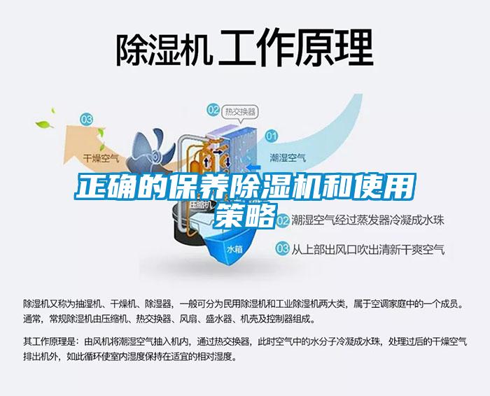 正確的保養除濕機和使用策略