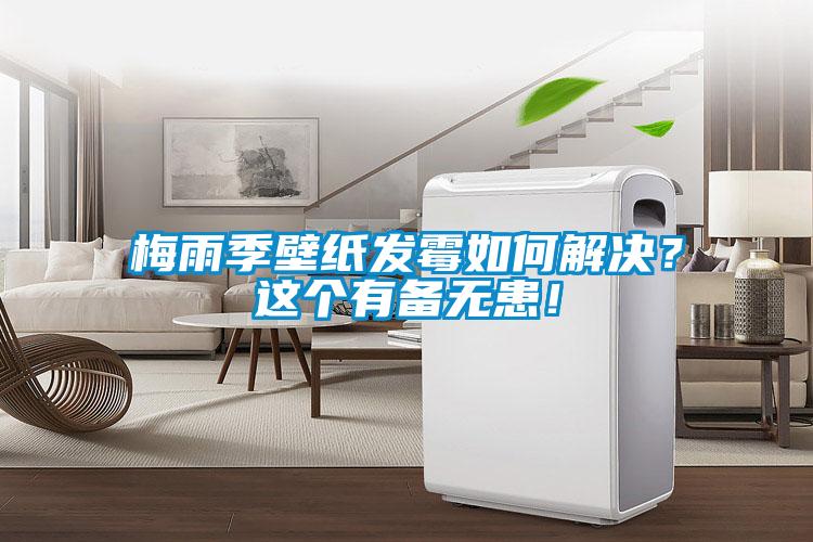 梅雨季壁紙發(fā)霉如何解決？這個有備無患！