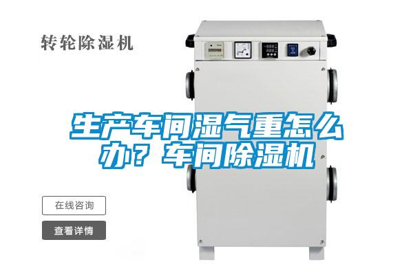 生產車間濕氣重怎么辦？車間除濕機
