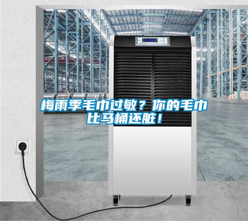 梅雨季毛巾過敏？你的毛巾比馬桶還臟！
