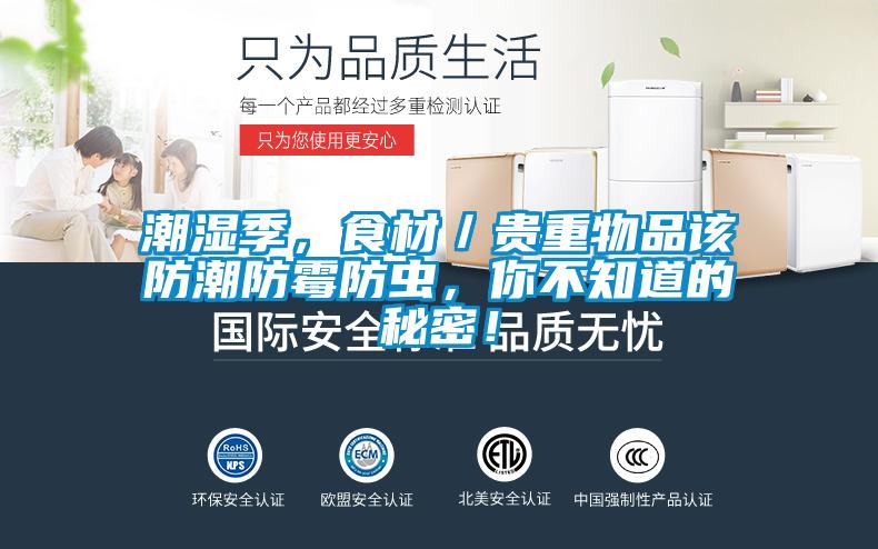 潮濕季，食材／貴重物品該防潮防霉防蟲，你不知道的秘密！