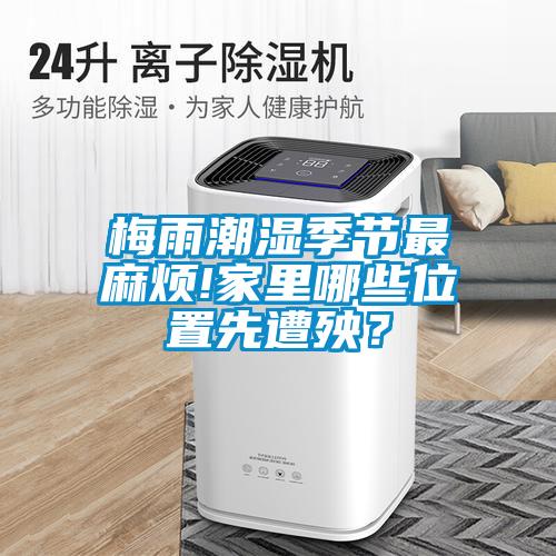 梅雨潮濕季節最麻煩!家里哪些位置先遭殃？