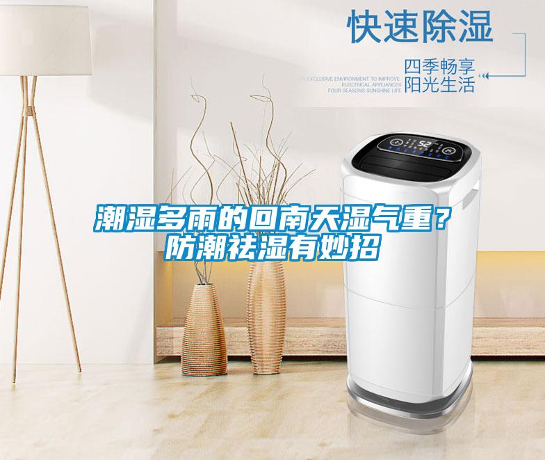潮濕多雨的回南天濕氣重？防潮祛濕有妙招