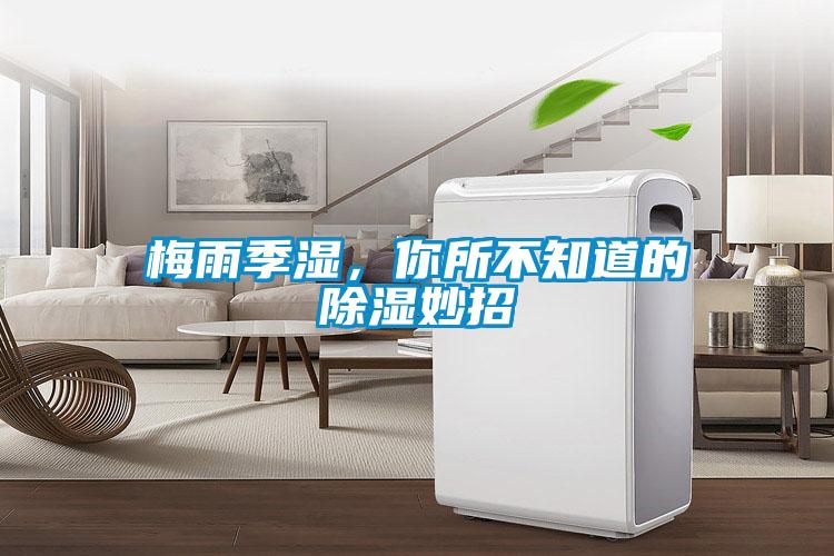 梅雨季濕，你所不知道的除濕妙招