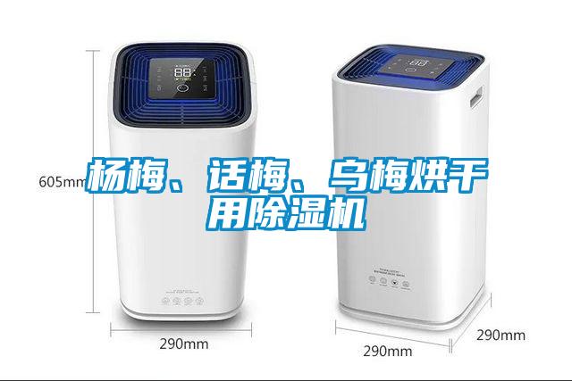 楊梅、話梅、烏梅烘干用除濕機(jī)