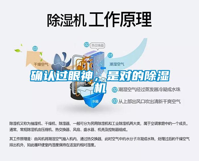 確認過眼神，是對的除濕機