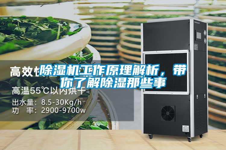 除濕機工作原理解析，帶你了解除濕那些事