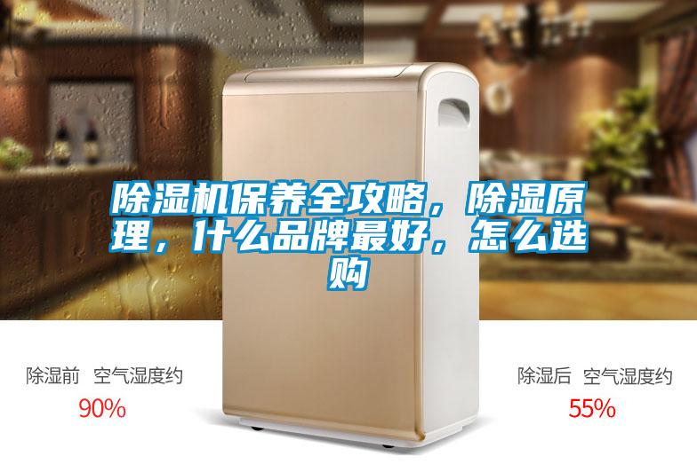 除濕機(jī)保養(yǎng)全攻略，除濕原理，什么品牌最好，怎么選購