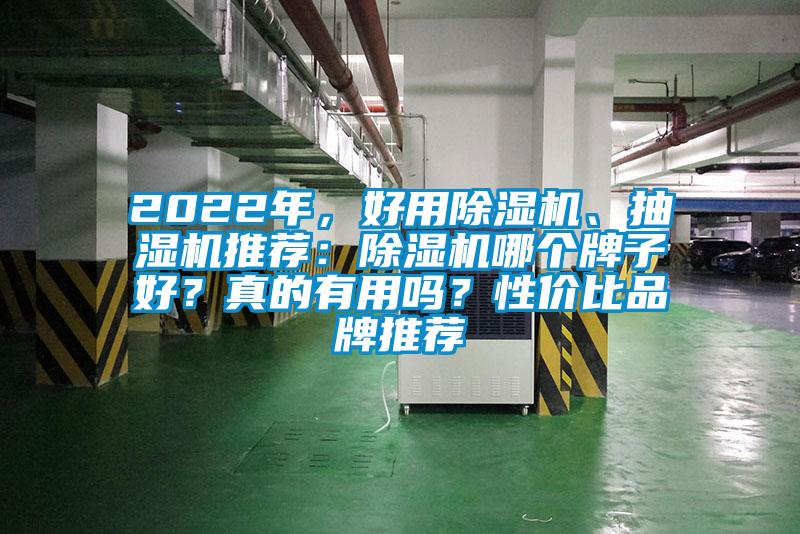 2022年，好用除濕機、抽濕機推薦：除濕機哪個牌子好？真的有用嗎？性價比品牌推薦
