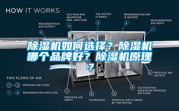 除濕機如何選擇？除濕機哪個品牌好？除濕機原理？