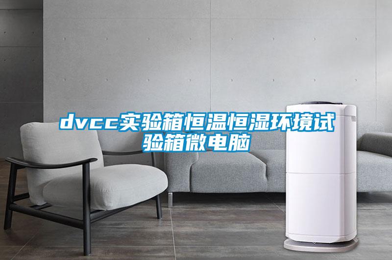 dvcc實(shí)驗(yàn)箱恒溫恒濕環(huán)境試驗(yàn)箱微電腦
