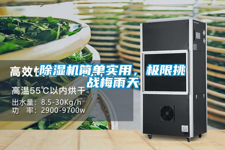 除濕機簡單實用，極限挑戰梅雨天