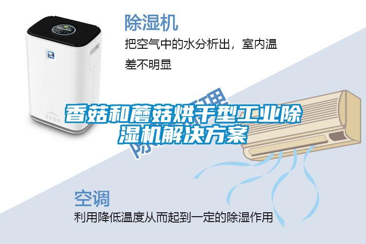 香菇和蘑菇烘干型工業除濕機解決方案