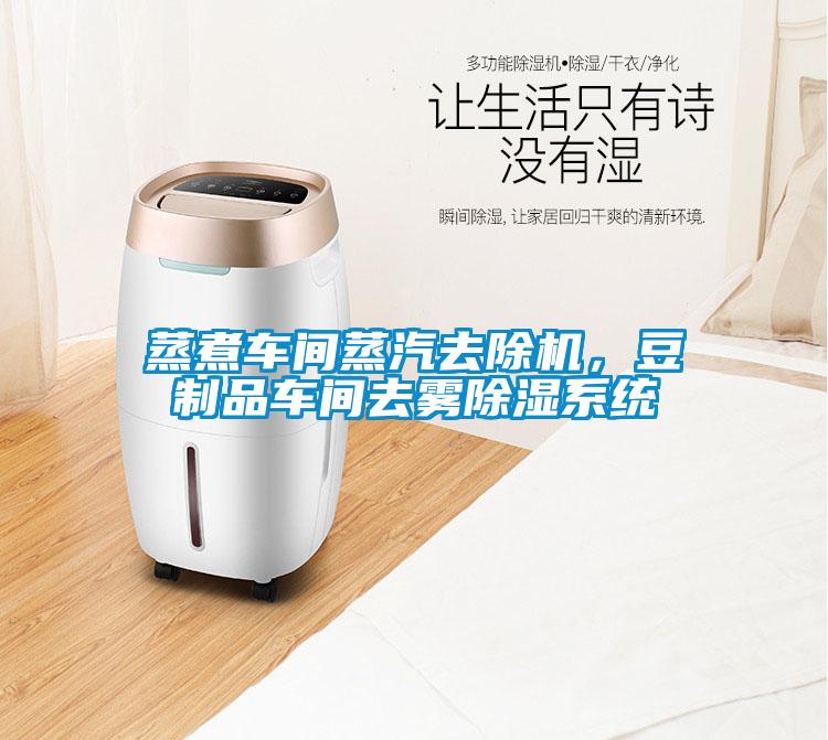 蒸煮車間蒸汽去除機，豆制品車間去霧除濕系統