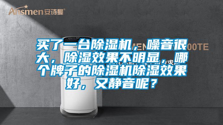 買了一臺除濕機，噪音很大，除濕效果不明顯，哪個牌子的除濕機除濕效果好，又靜音呢？