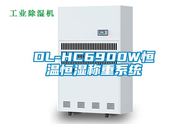 DL-HC6900W恒溫恒濕稱重系統