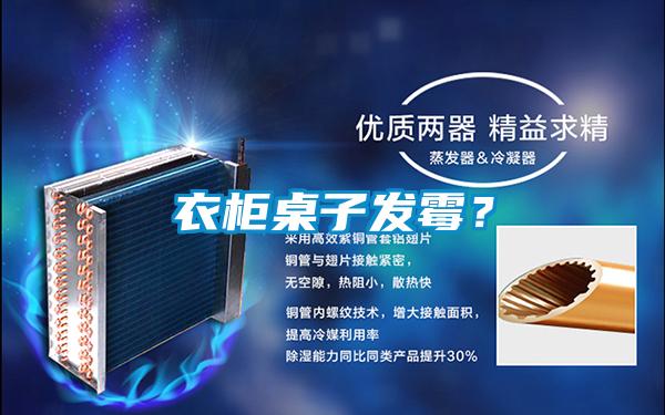 衣柜桌子發霉？