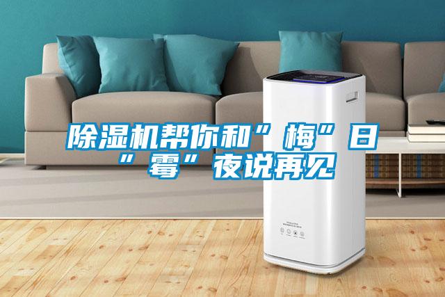 除濕機幫你和”梅”日”霉”夜說再見
