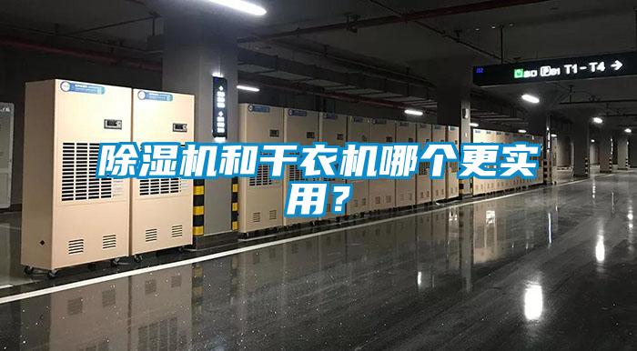 除濕機和干衣機哪個更實用？