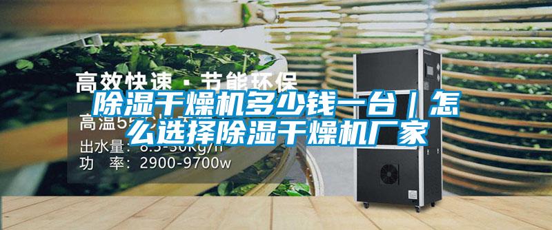 除濕干燥機多少錢一臺｜怎么選擇除濕干燥機廠家